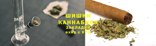 PSILOCYBIN Богородск