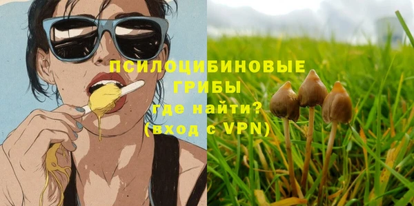 мет Богородицк